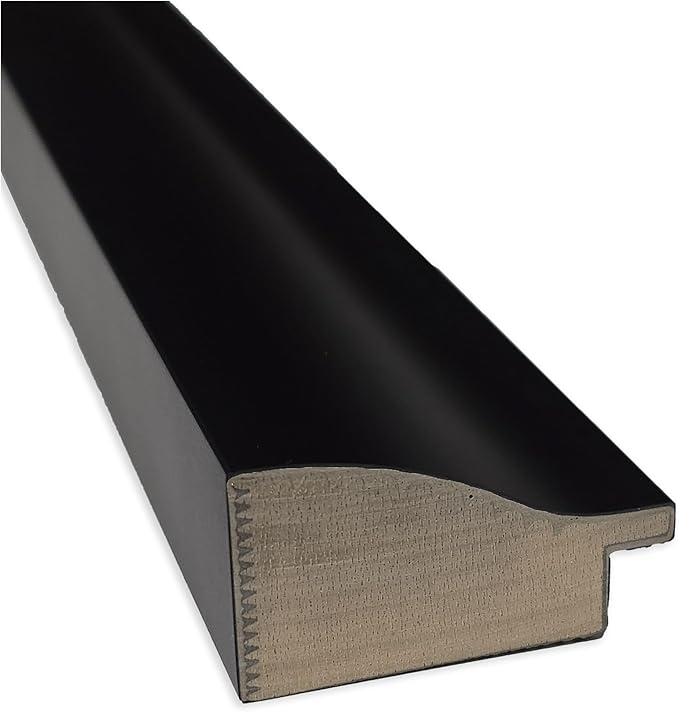 Kate and Laurel Framed Wall Art Print Ebony Splendor by Mary Sparrow, 33 x 43, Oliver Black Narrow Frame, Traditional, Animal Art for Wall Decor