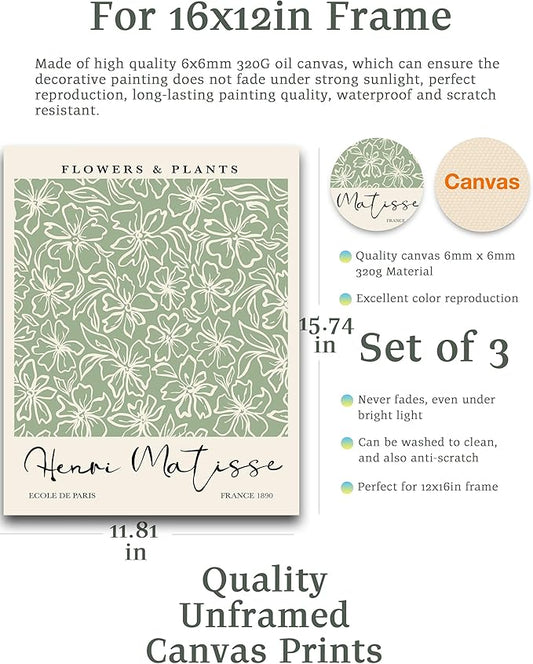 HesenDot Matisse Sage Green Wall Art Set of 3,William Morris Wall Art Decor,12x16IN Truly Quality Canvas Wall Art Pictures,Yayoi Kusama Print, Unframed Fabric wall art,Art poster decoration for