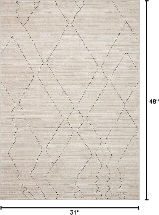 Loloi Darby Collection DAR-03 Sand/Charcoal 2'-7" x 4' Accent Rug