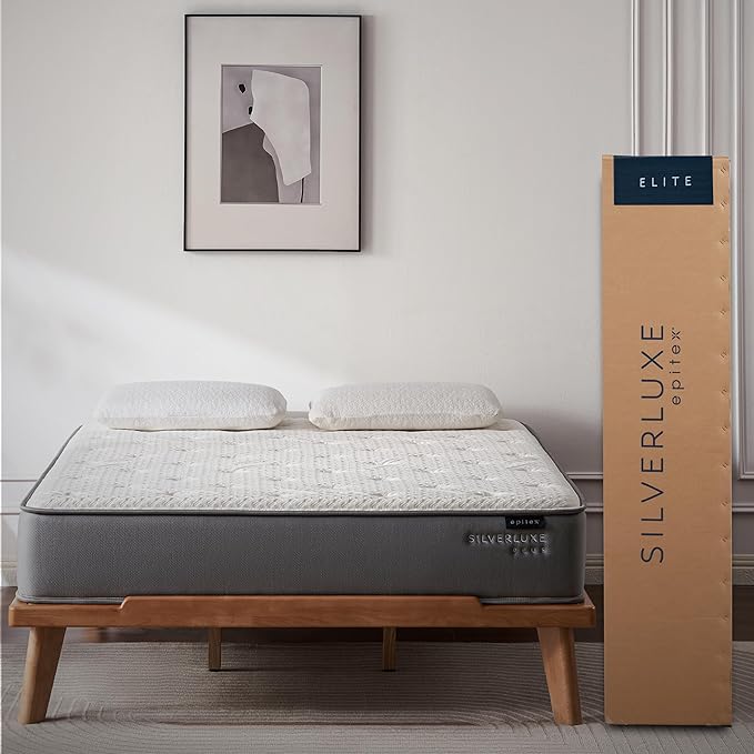 EPITEX Silverluxe Plus Twin Mattress 10 Inch, Gel Memory Foam Twin Mattress in a Box, Individual Pocket Spring for Low Motion Transfer, Medium Firm Mattress, Gray