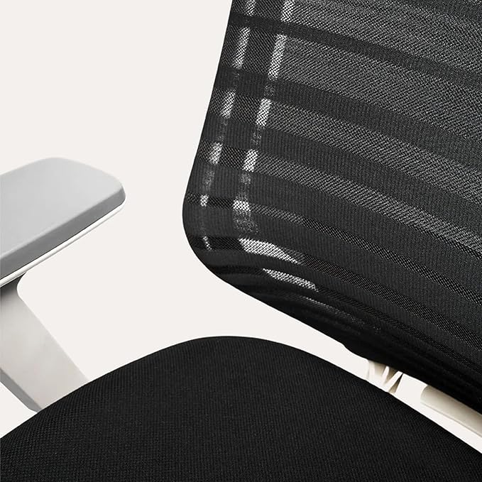 Branch Ergonomic Chair - A Versatile Desk Chair with Adjustable Lumbar Support, Breathable Mesh Backrest, and Smooth Wheels - Experience Optimal Comfort and Support - Baltic