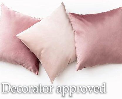 lalaLOOM Velvet Throw Pillow Covers, Set of 2, 20x20 Decorative Square Pillows Home Decor, Soft Accent Cases, Silky Machine Washable Pillowcases for Sofa, Couch, Bedroom, Living Room, Dark Gray