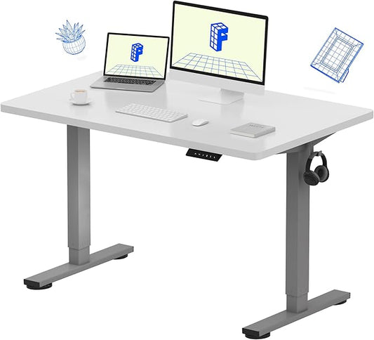 FLEXISPOT EN1 One-Piece Standing Desk 48 x 30 Inches Stand Up Desk for Workstation and Home Office (Silver Frame + 48 inches White Top, 2 Packages)
