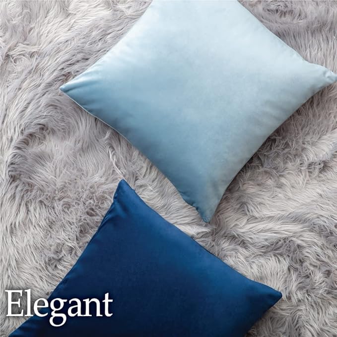 lalaLOOM Velvet Throw Pillow Covers, Set of 2, 18x18 Decorative Square Pillows Home Decor, Soft Accent Cases, Silky Machine Washable Pillowcases for Sofa, Couch, Bedroom, Living Room, Light Blue