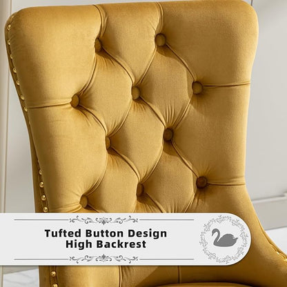 Velvet Upholstered Dining Chairs Set of 2, Modern Style Kitchen Side Chairs with Nailhead Trim and Gold Plated Leg, Metal Pulling Ring for Dining Room Living Room(Gold-Gold Plated Leg)