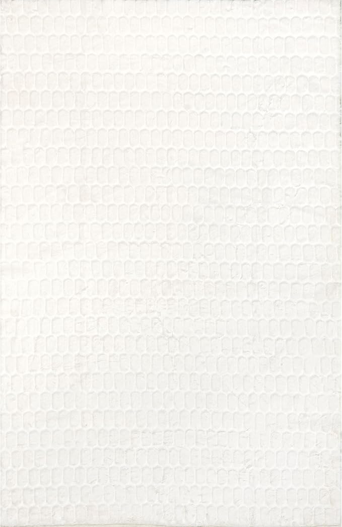nuLOOM 2' x 3' Cozy Plush Area Rug, Machine Washable, Non-Slip, Soft Fluffy Shag Carpet for Living Room Bedroom Kids Room Nursery Home Decor, Nia White