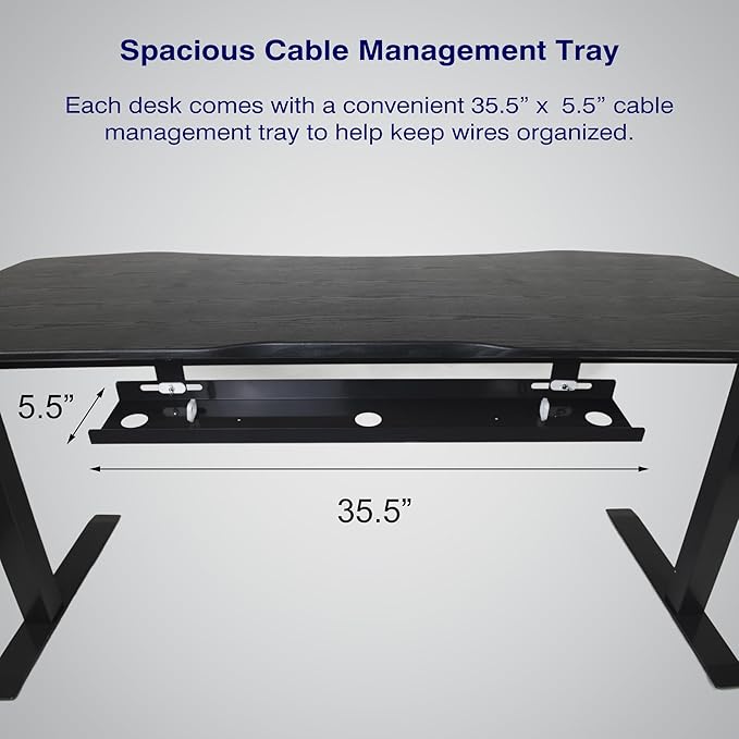 ApexDesk Elite Pro Series 60" x 27" Electric Height Adjustable Stand up Desk, Sit Stand Home Office Desk, Computer Desk - Curved Bamboo