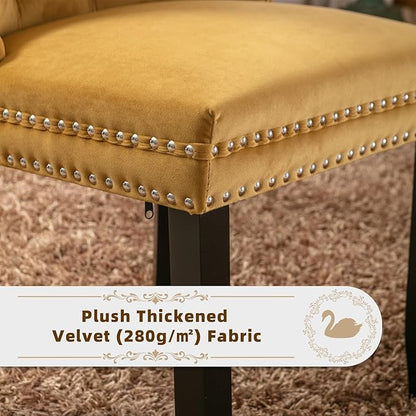 Velvet Upholstered Dining Chairs Set of 2, Modern Style Kitchen Side Chairs with Nailhead Trim and Wood Legs,Metal Pulling Ring for Dining Room Living Room(Gold)