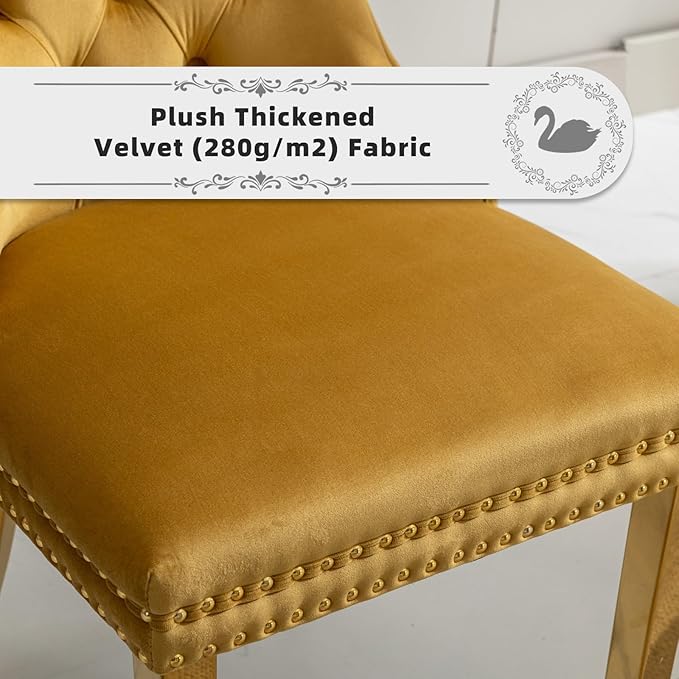 Velvet Upholstered Dining Chairs Set of 6, Modern Style Kitchen Side Chairs with Nailhead Trim and Gold Plated Leg, Metal Pulling Ring for Dining Room Living Room(Gold-Gold Plated Leg)