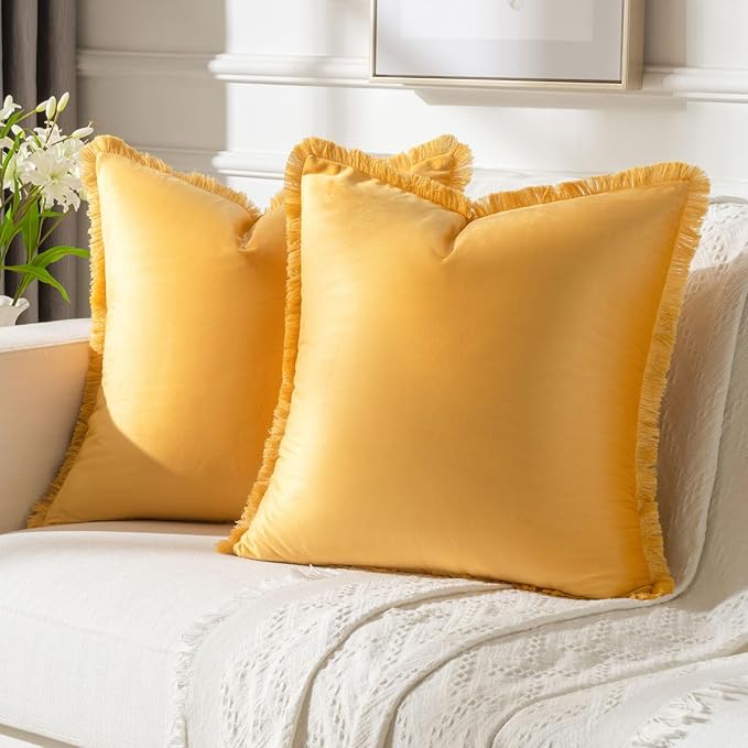 FUTEI Orange Velvet Decorative Throw Pillow Covers 18x18 Set of 2,Soft Cozy Edge with Tassels Cushion Case,Boho Modern Home Decor for Couch Bed Living Room