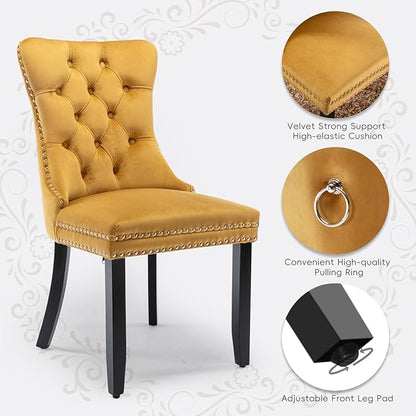 Velvet Upholstered Dining Chairs Set of 4, Modern Style Kitchen Side Chairs with Nailhead Trim and Wood Legs,Metal Pulling Ring for Dining Room Living Room(Gold)