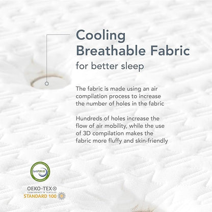 EPITEX Silverluxe Plus Twin Mattress 10 Inch, Gel Memory Foam Twin Mattress in a Box, Individual Pocket Spring for Low Motion Transfer, Medium Firm Mattress, Gray