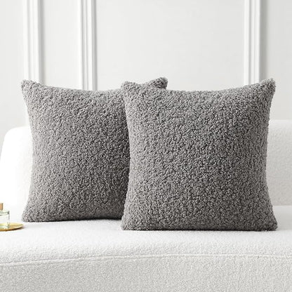 FUTEI Dark Grey Throw Pillow Covers 20x20 Inch Set of 2,Furry Faux Fur Teddy Boucle Textured Cushion Covers,Soft Fluffy Decorative Pillow Case,Home Decor for Couch Bed Living Room Office Car