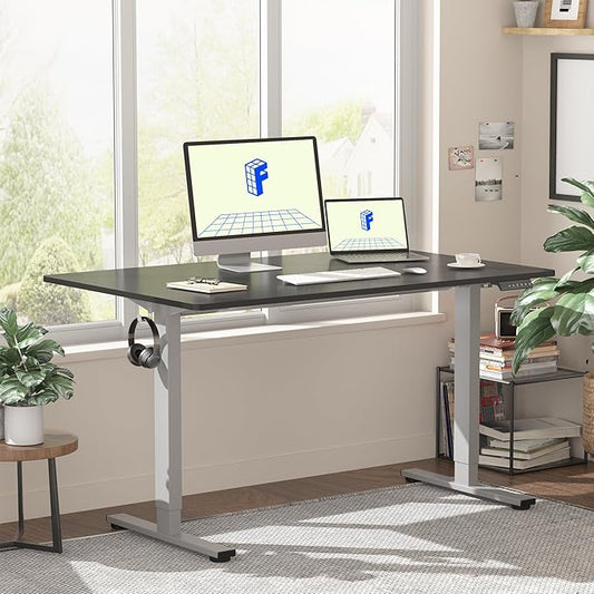 FLEXISPOT EN1 One-Piece Electric Standing Desk 48 x 24 Inches Seamless Seamless Desktop Height Adjustable Desk Stand Up Desks for Home Office (Silver Frame + Black Top, 2 Packages)