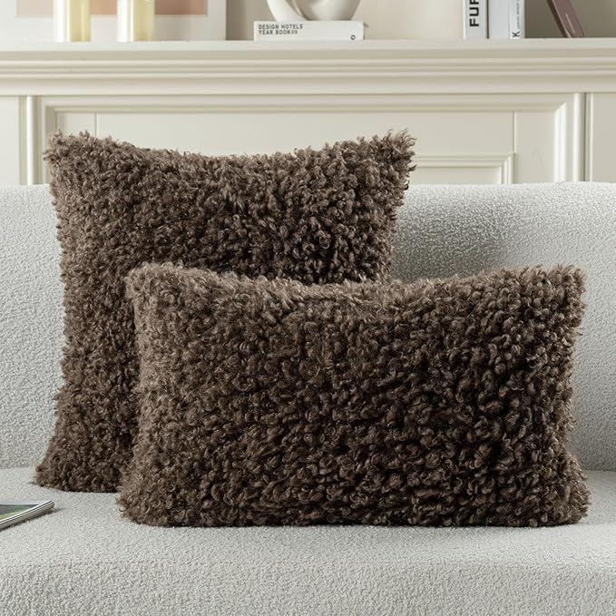 FUTEI Chocolate Decorative Throw Pillow Covers 18x18 Inch Set of 2,Soft Fluffy Faux Wool Fur Boucle Textured Cushion Case,Modern Home Decor for Couch Bed Living Room Office