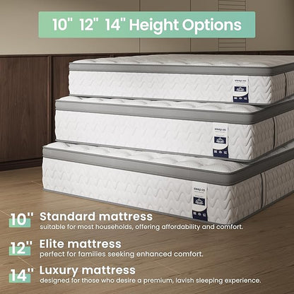 Twin Mattress 10 Inch – Hybrid Mattresses for Back Pain, Extra Lumbar & Shoulder Support, Fiberglass-Free & No Odor, 365-Night Trial