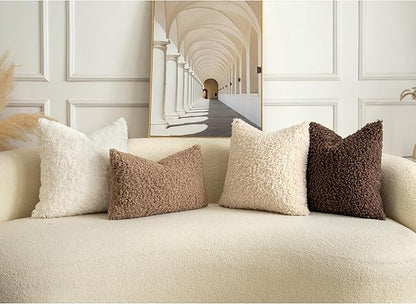 Pack of 2 Curly Teddy Wool Faux Fur Throw Pillow Covers Fuzzy Accent Soft Sherpa Pillowcases Sheepskin Fleece Decorative Cushion Case for Sofa Couch Living Room 26x26 Inch Chocolate