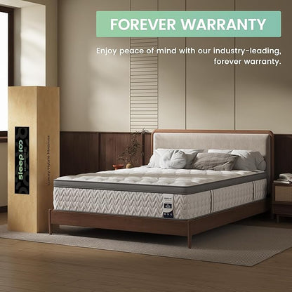 Full Mattress 14 Inch – Hybrid Mattresses for Back Pain, Extra Lumbar & Shoulder Support, Fiberglass-Free & No Odor, 365-Night Trial