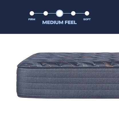 Sealy Warner 12" Firm Tight Top Innerspring Mattress - Twin Long