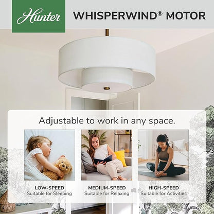 Hunter - Brookside Indoor Fandelier with Light, Remote, 30-inch, Casual-Style, 3-Speed WhisperWind Motor, 52974, Ceiling Fans for Living Rooms, bedrooms, Home Offices, Kitchens (Luxe Gold)