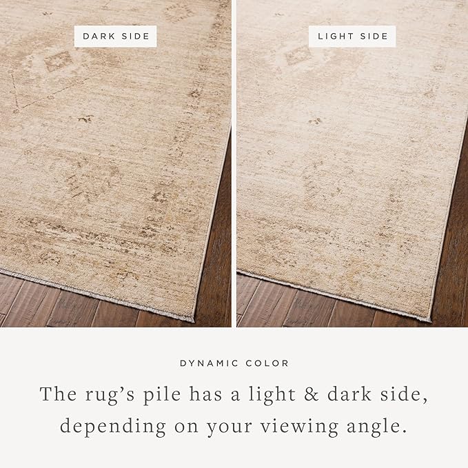 Loloi Chris Loves Julia Palma Collection PLM-06 Natural/Smoke 2'-3" x 3'-10" Fringe Accent Rug Vintage Style Boho Living Room Bedroom Carpet