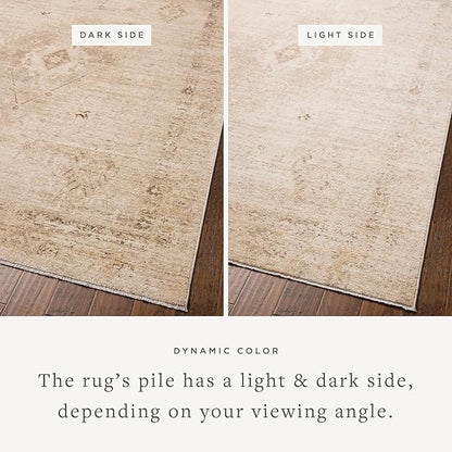 Loloi Chris Loves Julia Palma Collection PLM-06 Natural/Smoke 3'-6" x 5'-6" Fringe Accent Rug Vintage Style Boho Living Room Bedroom Carpet
