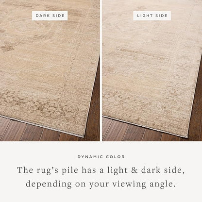 Loloi Chris Loves Julia Palma Collection PLM-07 Wheat/Taupe 2'-7" x 12'-0" Fringe Runner Rug Vintage Style Boho Living Room Bedroom Carpet