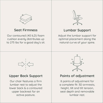 Branch Ergonomic Chair - A Versatile Desk Chair with Adjustable Lumbar Support, Breathable Mesh Backrest, and Smooth Wheels - Experience Optimal Comfort and Support - Graphite - White