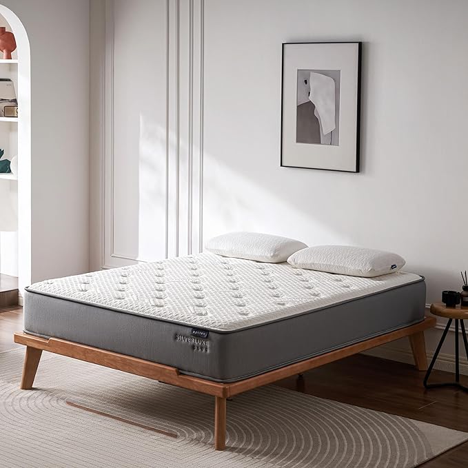 EPITEX Silverluxe Plus Full Size Mattress, 10 Inch Cooling Gel Memory Foam Full Mattress in a Box, Individual Pocket Spring for Low Motion Transfer, Medium Firm Mattress, Gray
