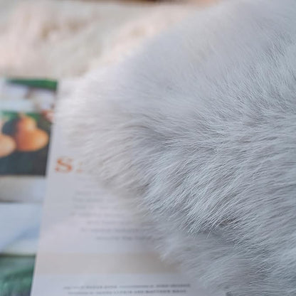 Neelvin Light Grey Faux Fur Cozy Fluffy Double-Sided Decorative Throw Pillow Covers 24x24 inch Set of 2,Velvet Pillowcase Cushion Case for Sofa Couch