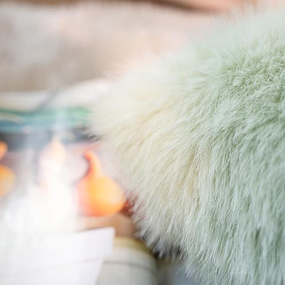 Neelvin Green Faux Fur Cozy Fluffy Double-Sided Decorative Throw Pillow Covers 24x24 inch Set of 2,Velvet Pillowcase Cushion Case for Sofa Couch