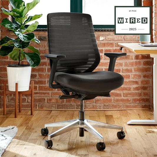 Branch Ergonomic Chair - A Versatile Desk Chair with Adjustable Lumbar Support, Breathable Mesh Backrest, and Smooth Wheels - Experience Optimal Comfort and Support - All Black