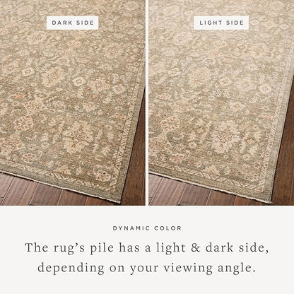 Loloi Chris Loves Julia Palma Collection PLM-03 Lagoon/Natural 5'-3" x 7'-6" Area Rug Vintage Style Boho Living Room Bedroom Carpet