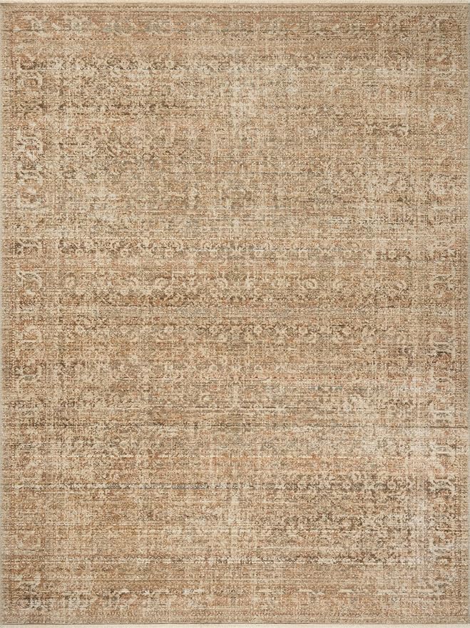 Loloi Amber Lewis Molly Collection MOL-08 Antique/Multi 9'-6" x 13'-6" Low Pile Area Rug