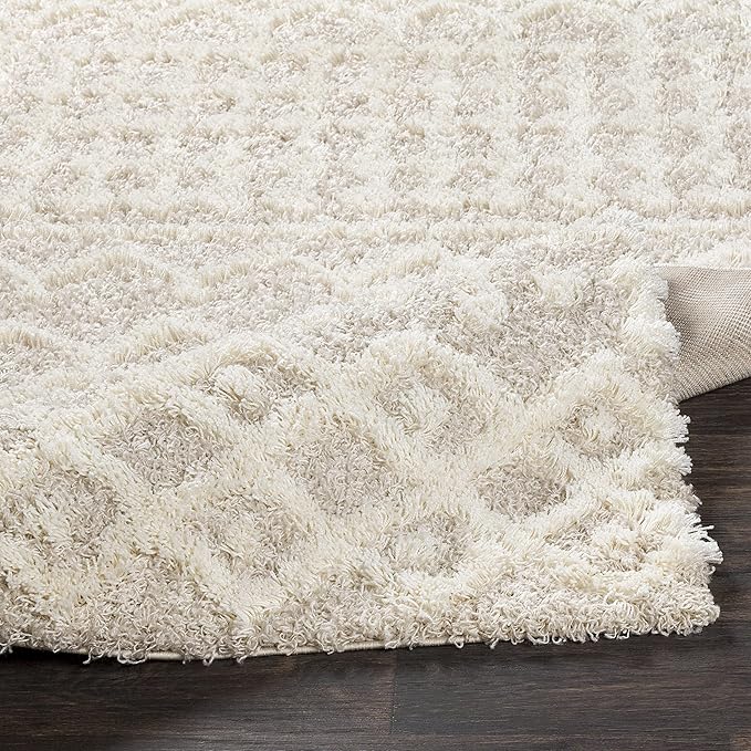 Livabliss Hapsburg Moroccan Shag Area Rug, 2'7" x 5', Beige