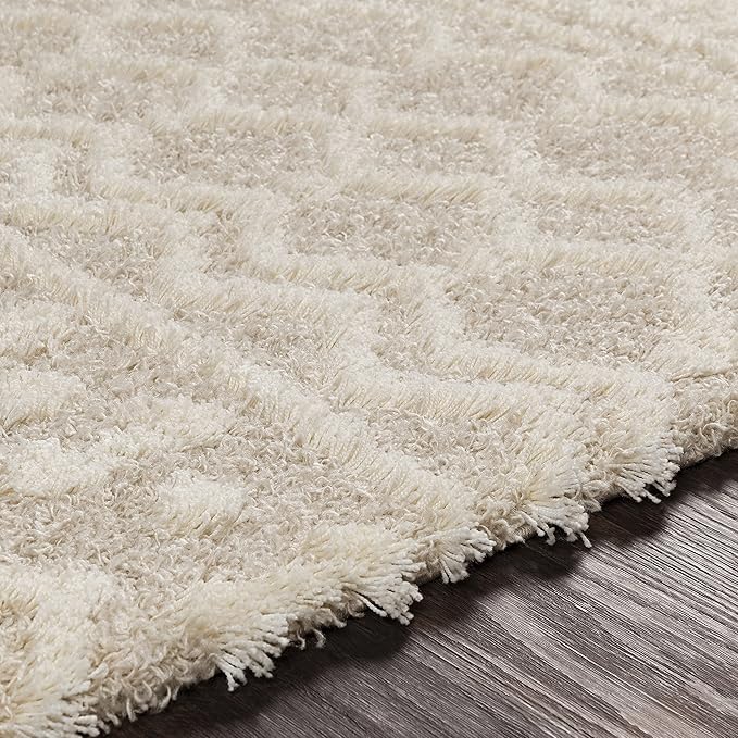 Livabliss Hapsburg Moroccan Shag Runner Area Rug,2'7" x 12',Beige