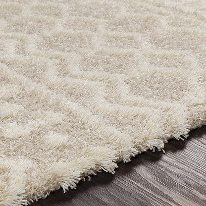 Livabliss Hapsburg Moroccan Shag Runner Area Rug,2'7" x 20', Beige