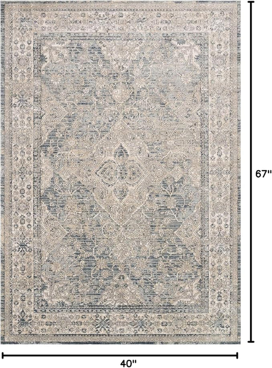 Loloi Teagan Collection TEA-04 Sky/Natural 3'-4" x 5'-7" Accent Rug, Large, Soft Neutral Rug, High-Traffic for Living Room, Bedroom, Home Office, Dining Area