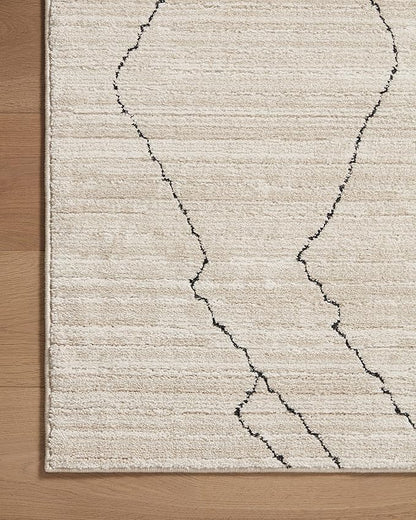 Loloi Darby Collection DAR-03 Sand/Charcoal 2'-7" x 4' Accent Rug