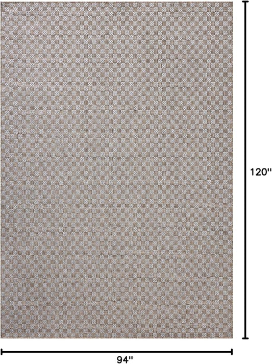 Loloi Amber Lewis Topanga Collection TOP-02 Natural/Silver 7'-10" x 10' Indoor/Outdoor Area Rug