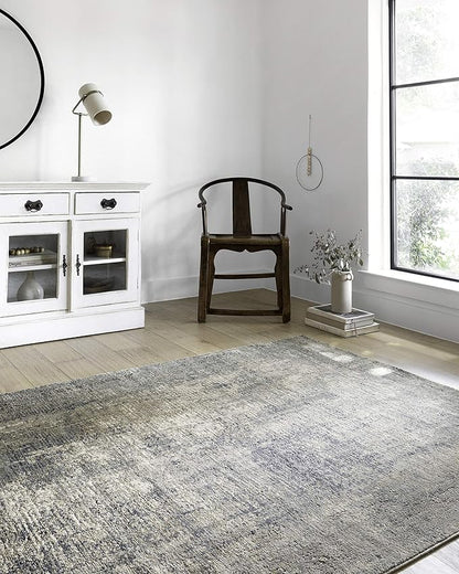 Loloi Teagan Collection TEA-05 Denim/Slate 3'-4" x 5'-7" Accent Rug, Large, Soft Neutral Rug, High-Traffic for Living Room, Bedroom, Home Office, Dining Area