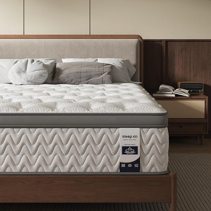 Twin Mattress 10 Inch – Hybrid Mattresses for Back Pain, Extra Lumbar & Shoulder Support, Fiberglass-Free & No Odor, 365-Night Trial