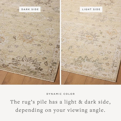 Loloi Magnolia Home by Joanna Gaines Pace Collection PAC-05 Apricot/Multi 7'-8" x 7'-8" Round Area Rug