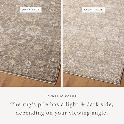Loloi Magnolia Home by Joanna Gaines Pace Collection PAC-03 Taupe/Wheat 5'-3" x 5'-3" Round Area Rug
