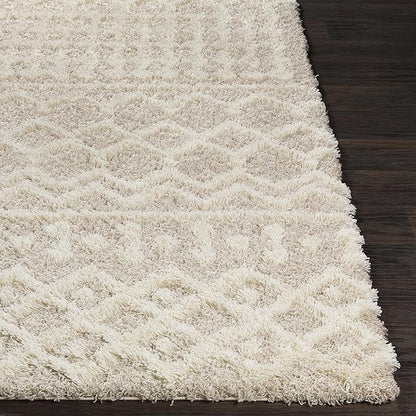 Livabliss Hapsburg Moroccan Shag Area Rug, 2'7" x 5', Beige