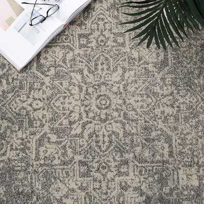 SAFAVIEH Area Rug 9x12 - Evoke Collection - Large - Silver & Ivory, Distressed Design, Non-Shedding & Easy to Clean, Ideal for Living Room, Bedroom, Dining Space (EVK256S)
