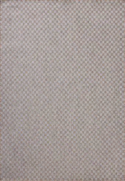 Loloi Amber Lewis Topanga Collection TOP-02 Natural/Silver 7'-10" x 10' Indoor/Outdoor Area Rug